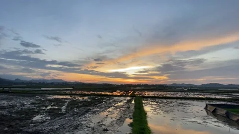 Nature Stock Footage 206651727