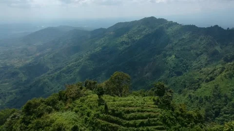 Nature Stock Footage 206952719