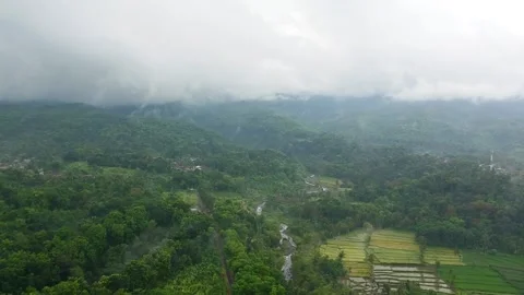 Nature Stock Footage 219000315