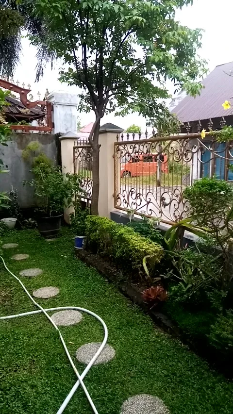 Nature Video stock 222023711