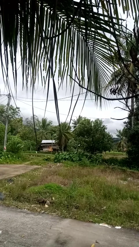 Nature Stock Footage 222023753