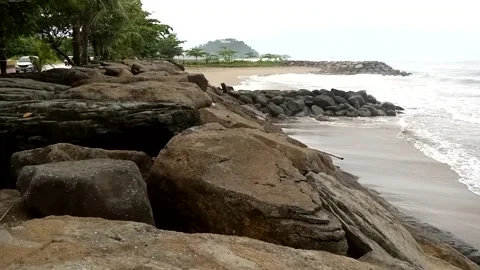 Nature Stock Footage 224480943