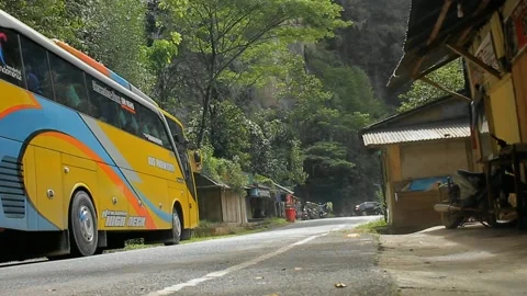 Nature 스톡 동영상 230952269