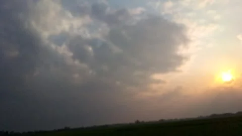 Nature Video stock 241905083