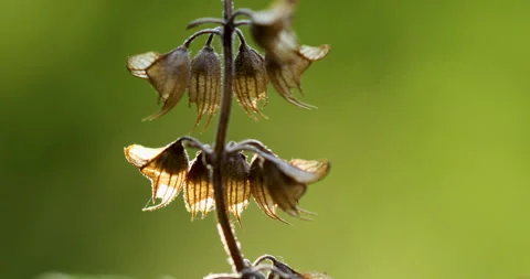 Nature. Stock Footage 255925065