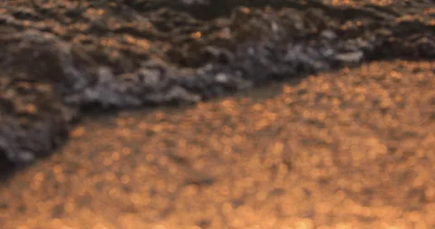 Nature. Video stock 256148217