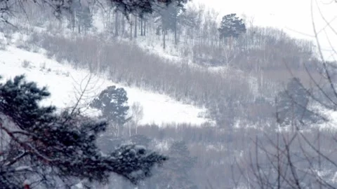 Nature Stock Footage 260071536