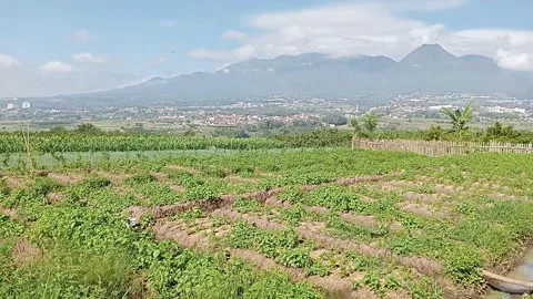 The nature Stock Footage 272304089