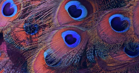 Nature. Stock Footage 276659042