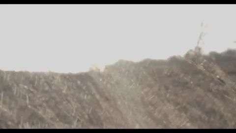 NATURE Stock Footage 277347579