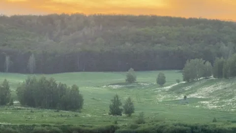 Nature 動画素材 278809049