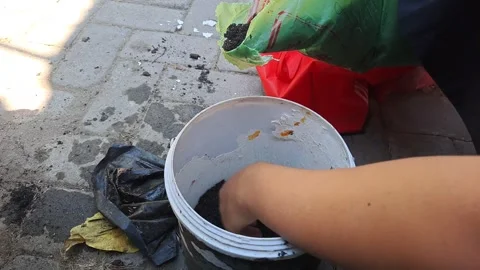 Nature Stock Footage 281615304