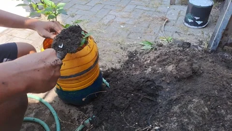 Nature Stock-Footage 281615354