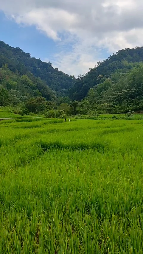 Nature 스톡 동영상 281816043