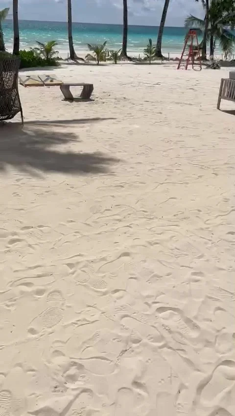 Nature Video stock 302826598