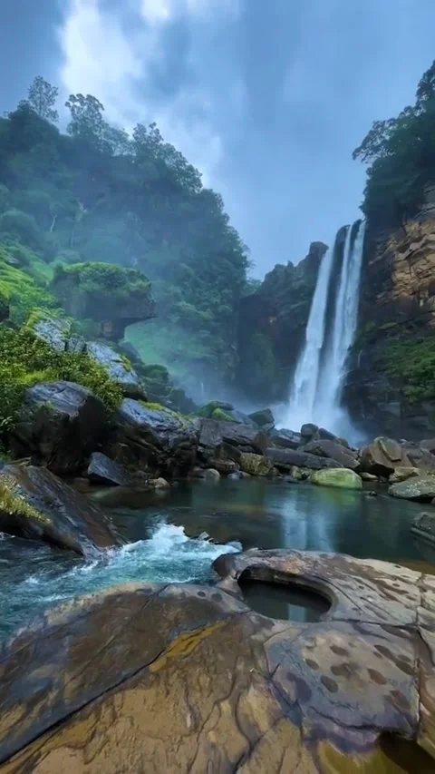 Nature Stock Footage 307813997