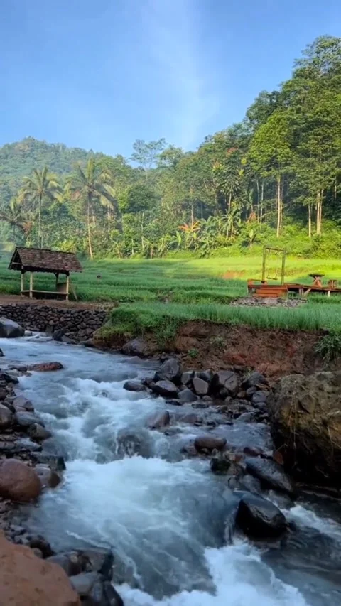 Nature Stock Footage 307835069