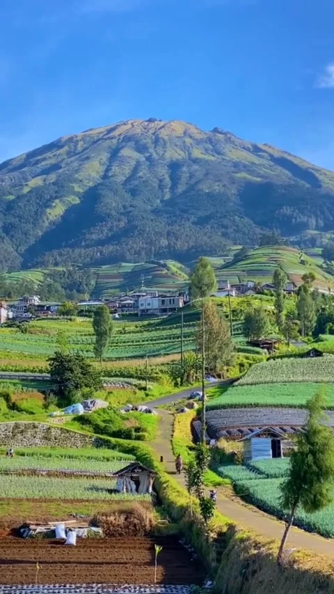Nature Stock Footage 307978493