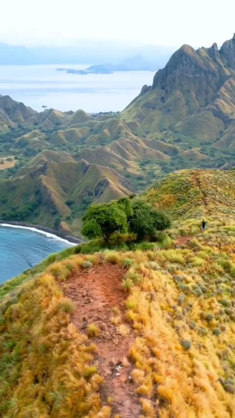 Nature Stock Footage 307979098