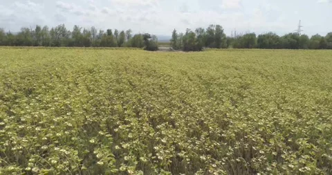 Nature Stock Footage 312324399