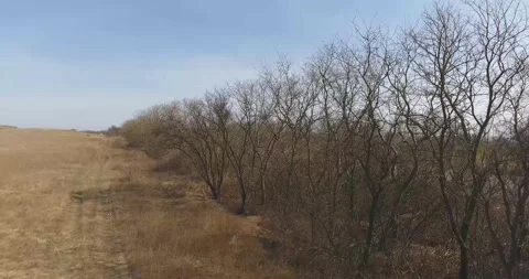 Nature Stock Footage 312324872