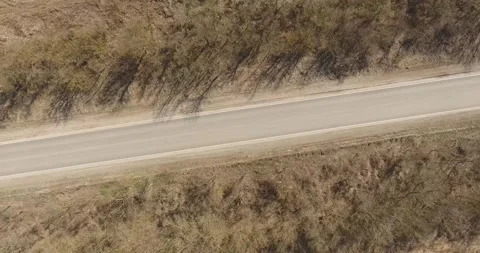 Nature Stock Footage 312324950