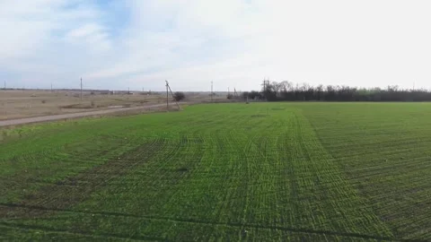 Nature Stock Footage 312325584