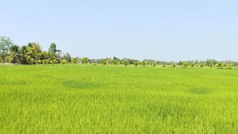 Nature Stock Footage 329925029