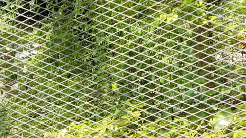 Nature Stock Footage 333457811