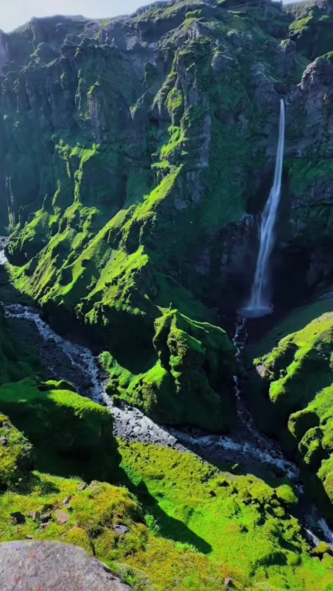 Nature Stock Footage 335323467