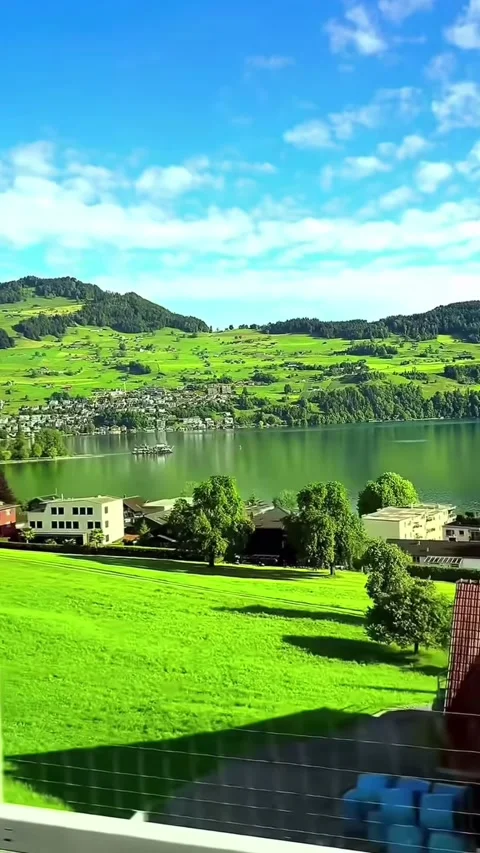 Nature 库存影片 335323509