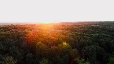 Nature footage Stock Footage 125344346
