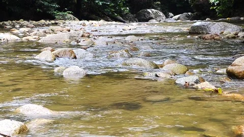 Nature footage Stock Footage 133352220