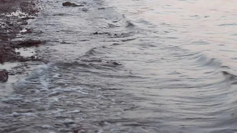 Nature footage Stock Footage 223941263