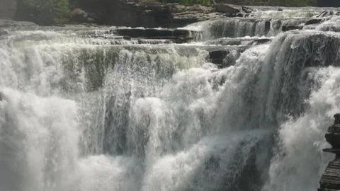 Nature Footage 스톡 동영상 269259221