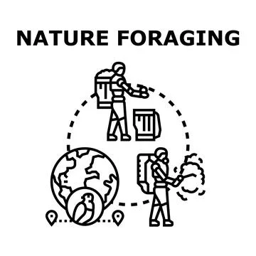 Nature foraging concept exploring wild food collection Stock Illustration
