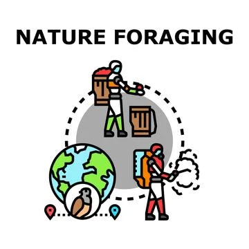 Nature foraging concept exploring wild food collection Stock Illustration