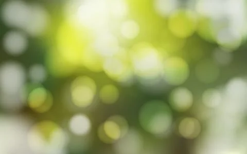 Nature forest bokeh soft light abstract background Stock Illustration