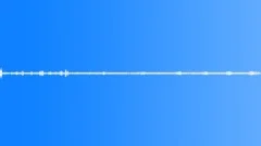 Nature Forest Early Morning Ambience Bird Parrots Chirps Answer Owls Calls DistSound Effect