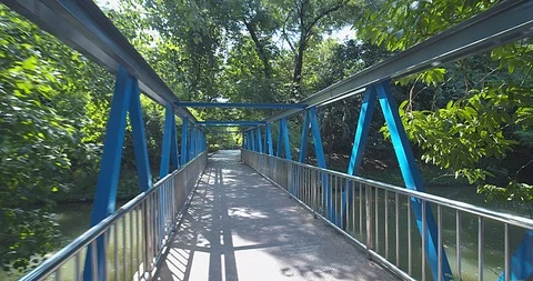 Nature forest 動画素材 118886514