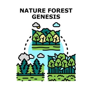 Nature forest genesis evolution concept vector Stock Illustration