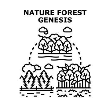 Nature forest genesis evolution concept vector Stock Illustration