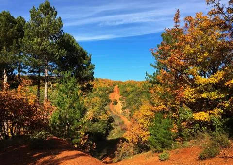 Nature Forest Greece Stock Photos