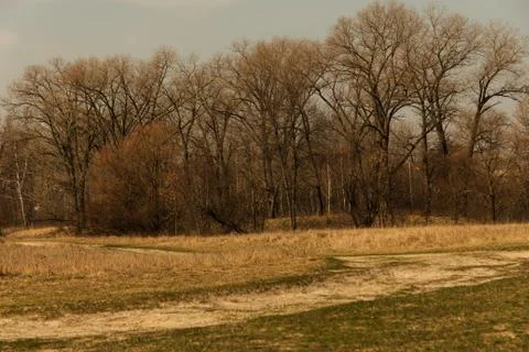 Nature forest  landscape Stock Photos