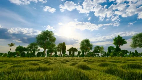 Nature forest life all things growth animation Stock Footage 291005632