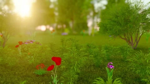 Nature forest life all things grow Stock Footage 295404039
