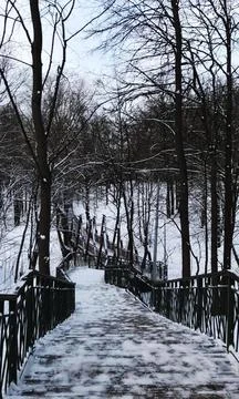 Nature in the forest Foto stock