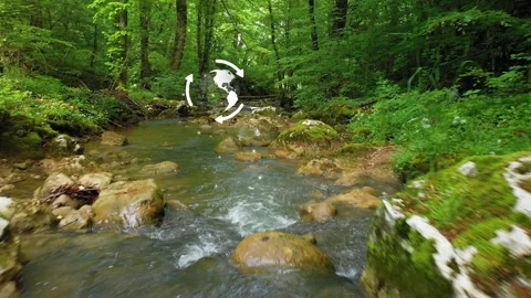 Nature forest river with earth globe environment animation 스톡 동영상 334079354