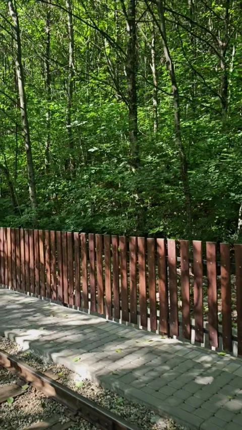 Nature, forest, river, green, waterfall, travel, mountain river Video stock 312002007