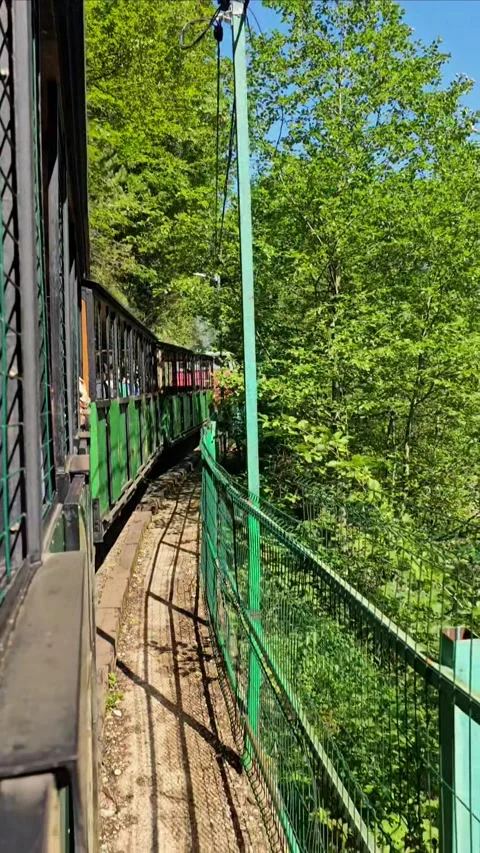 Nature, forest, river, green, waterfall, travel, mountain river Stock Footage 312002012